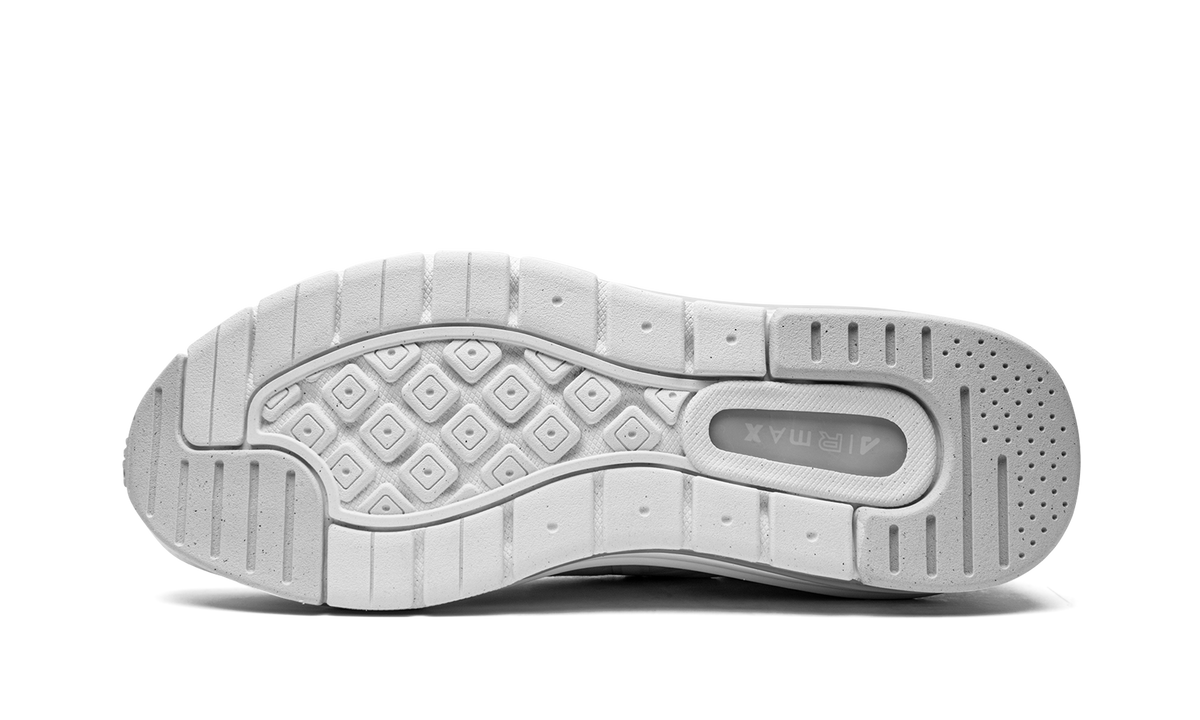 Air Max Genome
