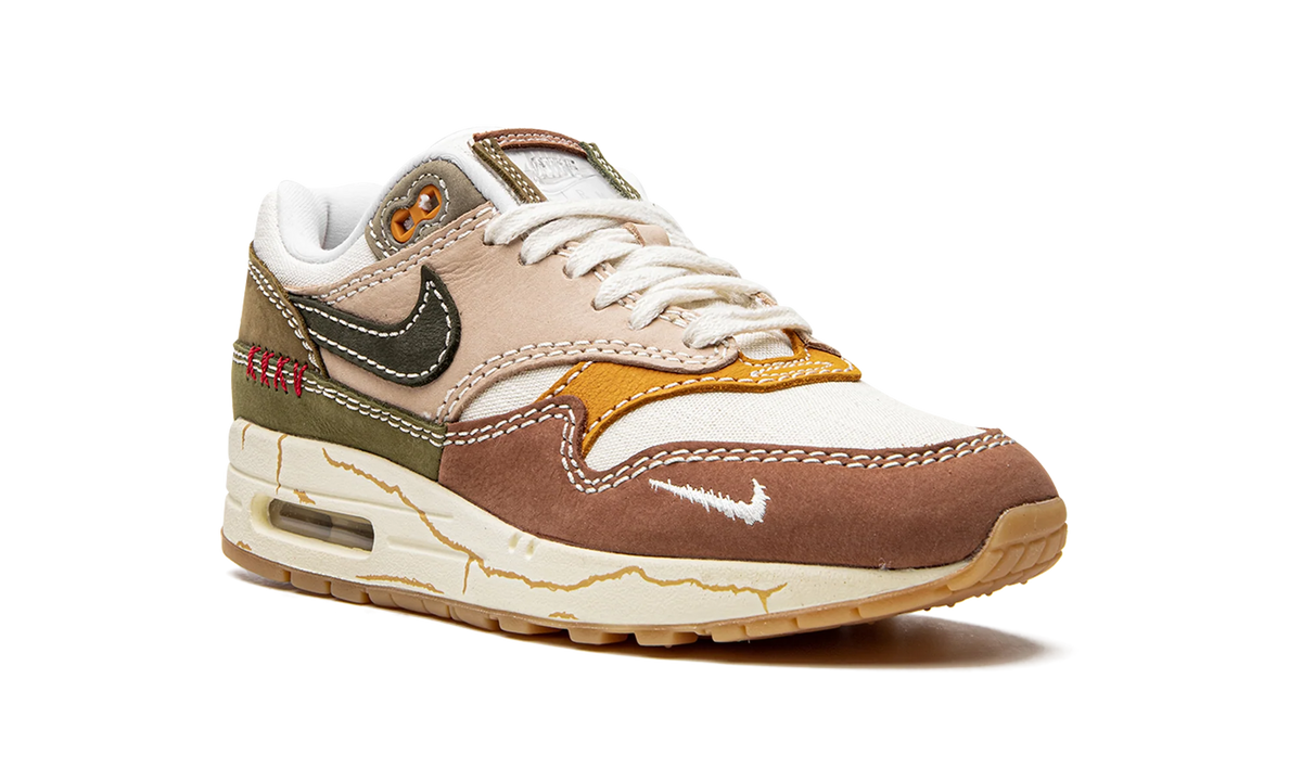 Air Max 1 Premium "Wabi-sabi" DQ8656 133