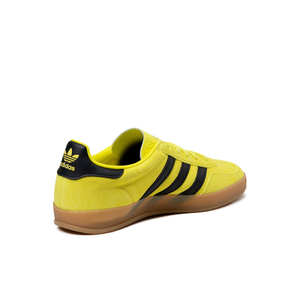 Gazelle Indoor
