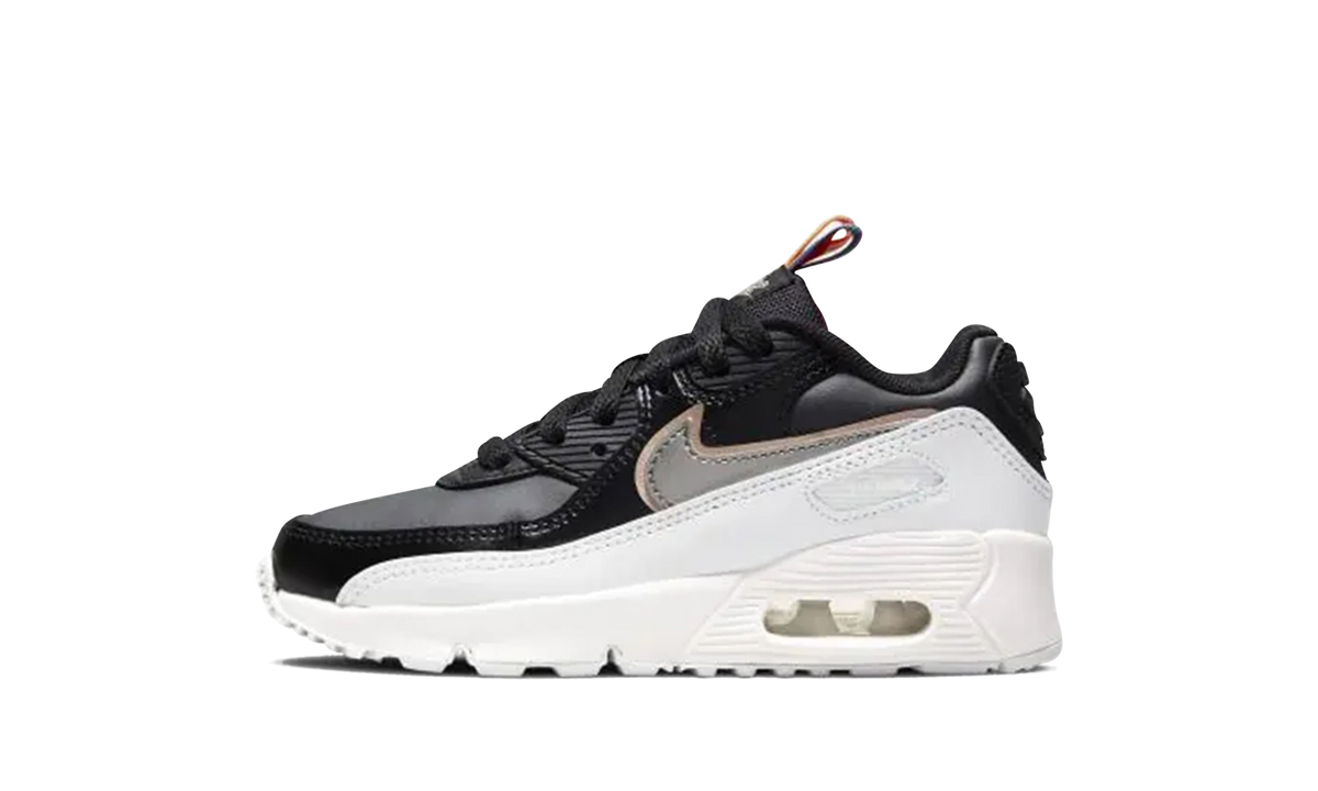 Air Max 90 Leather SE PS "Off Noir Metallic Pewter" DJ0415 001