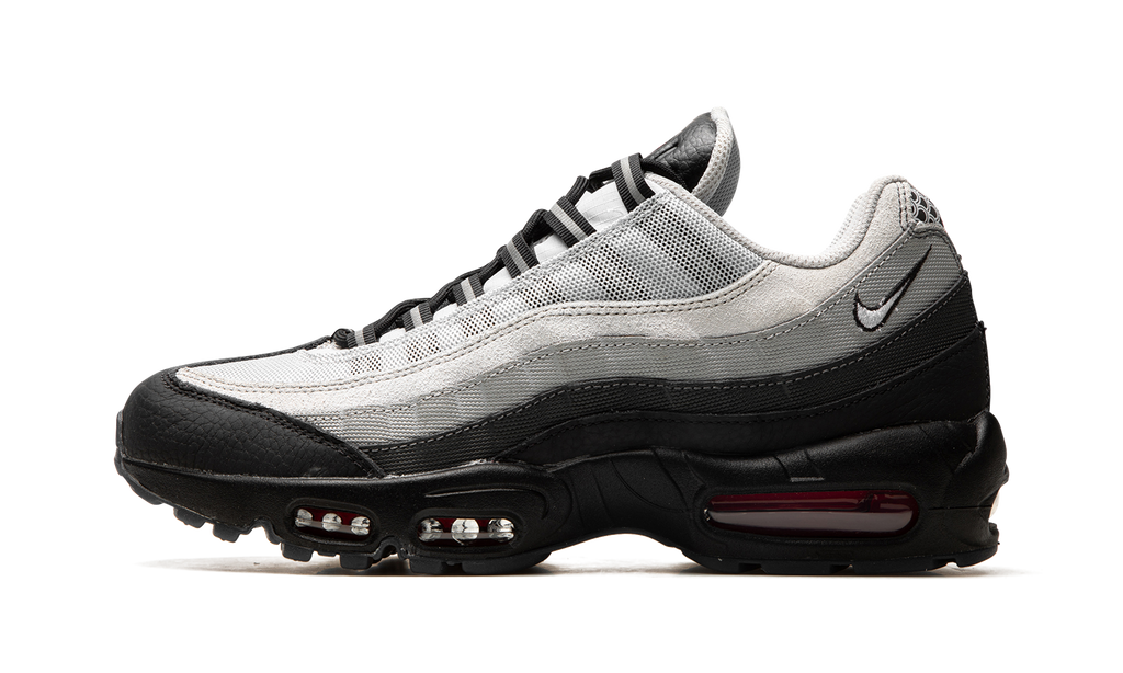 Air Max 95 "Fish Scales" DQ3979 001