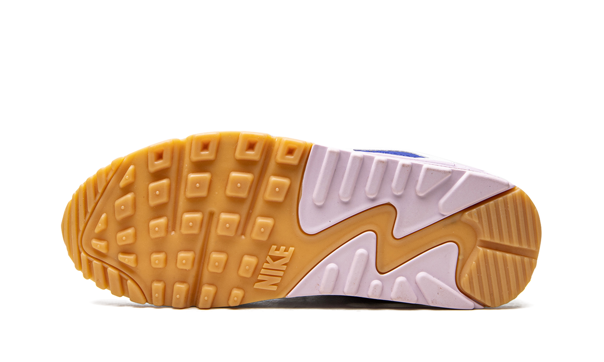 AIR MAX 90 WMNS DX3316 100